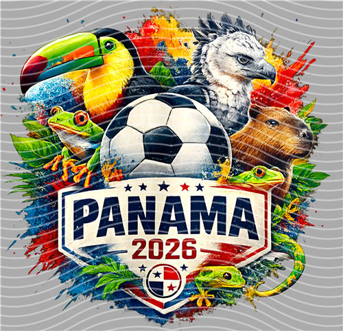 NBA and Team-QD 1303